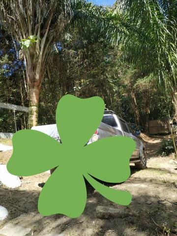 Sítio em Canoas ( pequeno sítio) - Foto 12