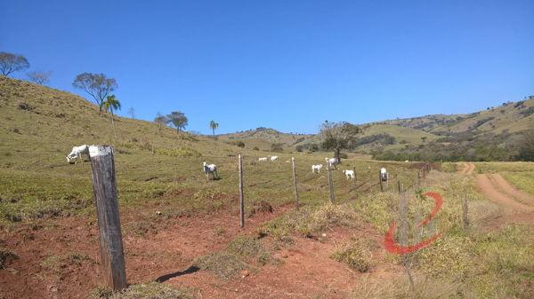 Rural fazenda com 4 quartos - Bairro Centro em Nova Tebas - Foto 20