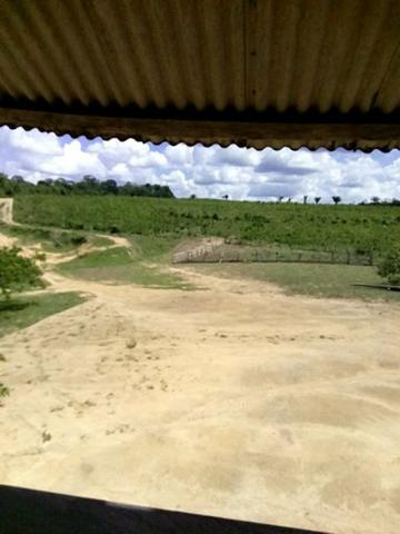 Fazenda a preço de ocasião - Foto 13