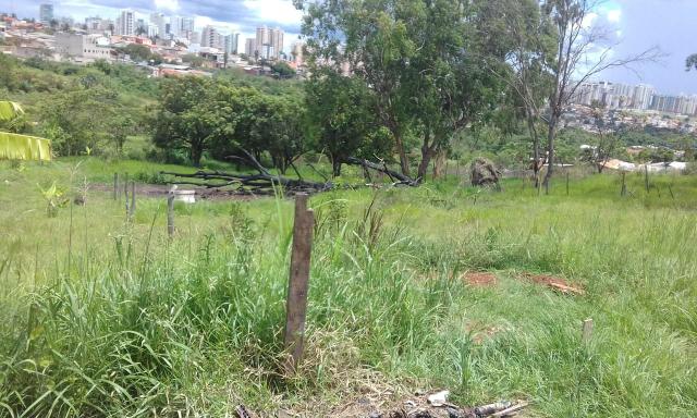 Venda - Foto 6