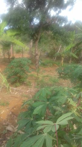 Ceilândia no P Sul - Foto 13