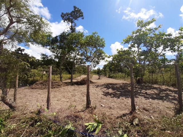 Terreno - Foto 5