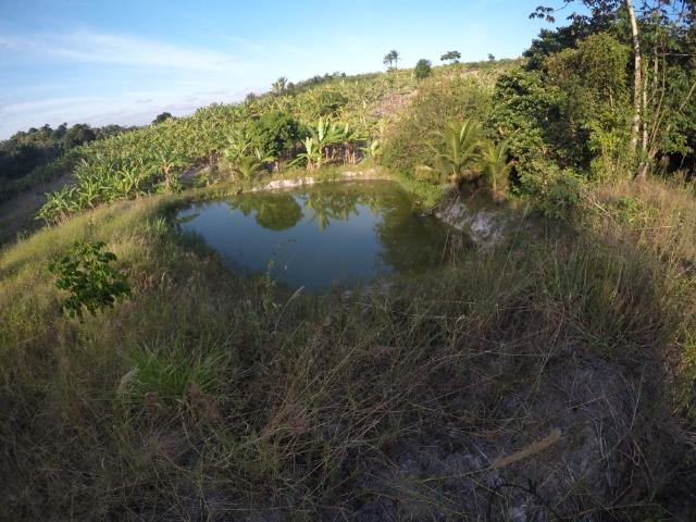 Sítio em Chã Grande PE - Foto 9