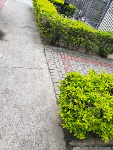 Dois quartos em Jardim Limoeiro - Foto 11