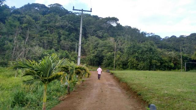 Fazenda Com Nascentes, 800 m de rio e Mata Atlântica Preserevada - Foto 10