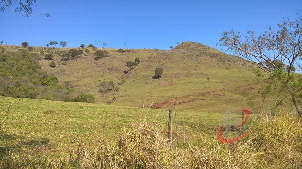 Rural fazenda com 4 quartos - Bairro Centro em Nova Tebas - Foto 15