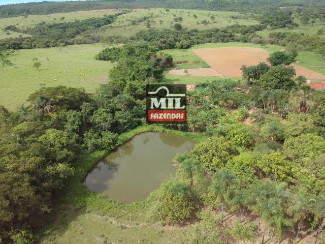 Vende ou troca por terra maior Chácara 5 Alqueires São Miguel do Passa Quatro-GO - Foto 12