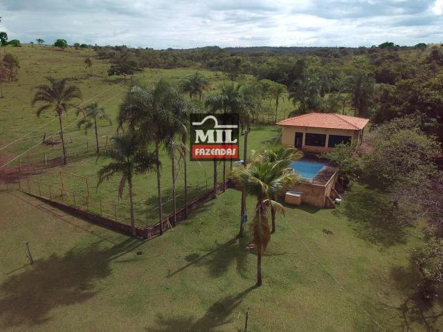 Vende ou troca por terra maior Chácara 5 Alqueires São Miguel do Passa Quatro-GO - Foto 11