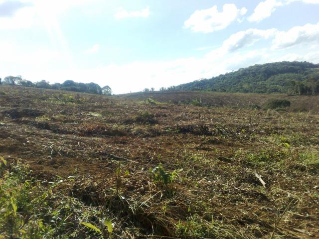 Fazenda Com Nascentes, 800 m de rio e Mata Atlântica Preserevada - Foto 4