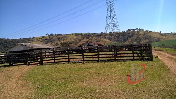 Rural fazenda com 4 quartos - Bairro Centro em Nova Tebas - Foto 5
