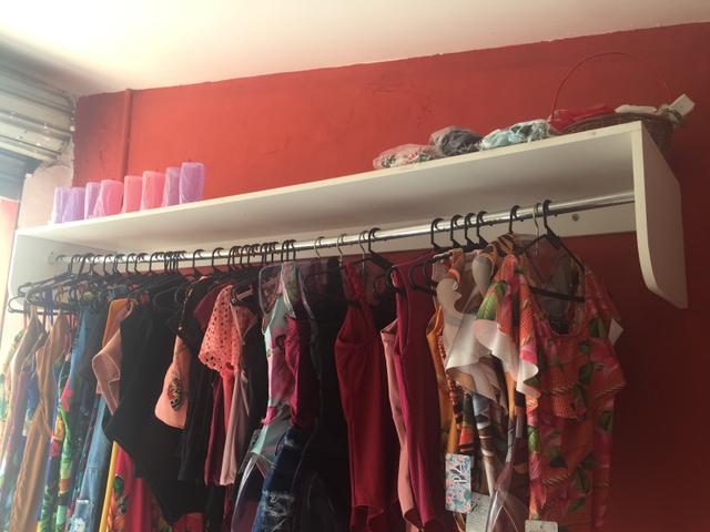 Vendo ARARA DE LOJA - Foto 4
