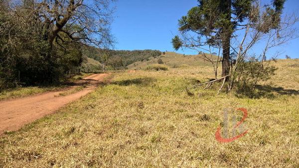 Rural fazenda com 4 quartos - Bairro Centro em Nova Tebas - Foto 18