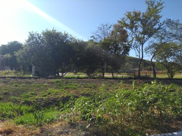 Loteamento rio Douro - Rio Dourado Casimiro de Abreu-RJ - Foto 13