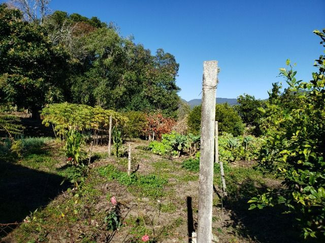Terreno Urbano no centro de Rio Rufino - Foto 11
