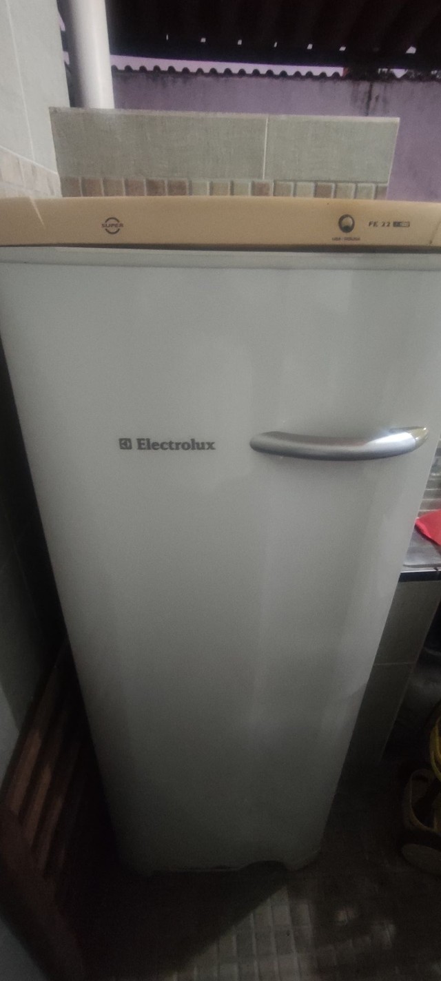 Freezer Eletrolux FE22 