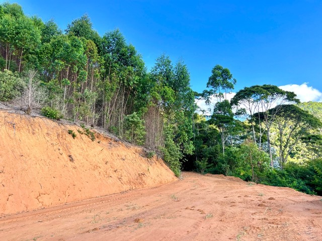 **IMPERDIVEL-CHACARA VALE DOS VINHEDOS EM SANTA TERESA** - Foto 10
