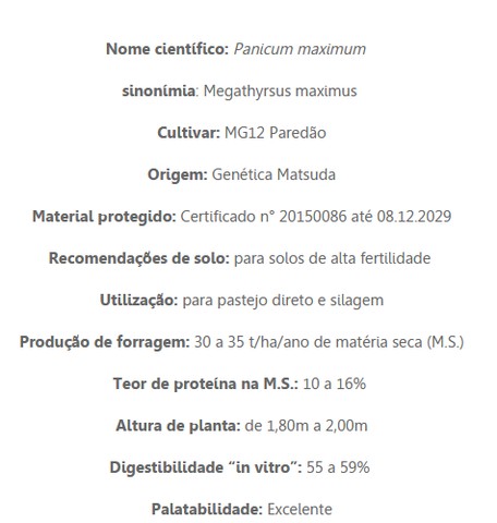 Bolas de Feno Pré-Secado  - Foto 4