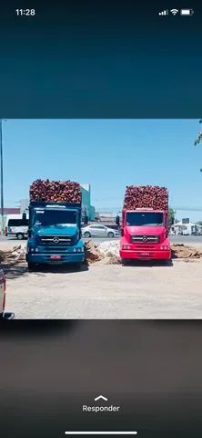 Estacas sabia pra cerca sítio,roça,fazenda,terrenos - Foto 4