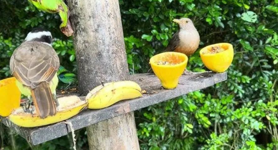 Chalés em Localização Privilegiada! - Foto 5