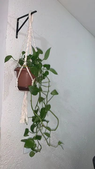Suporte de plantas em macrame - Foto 3