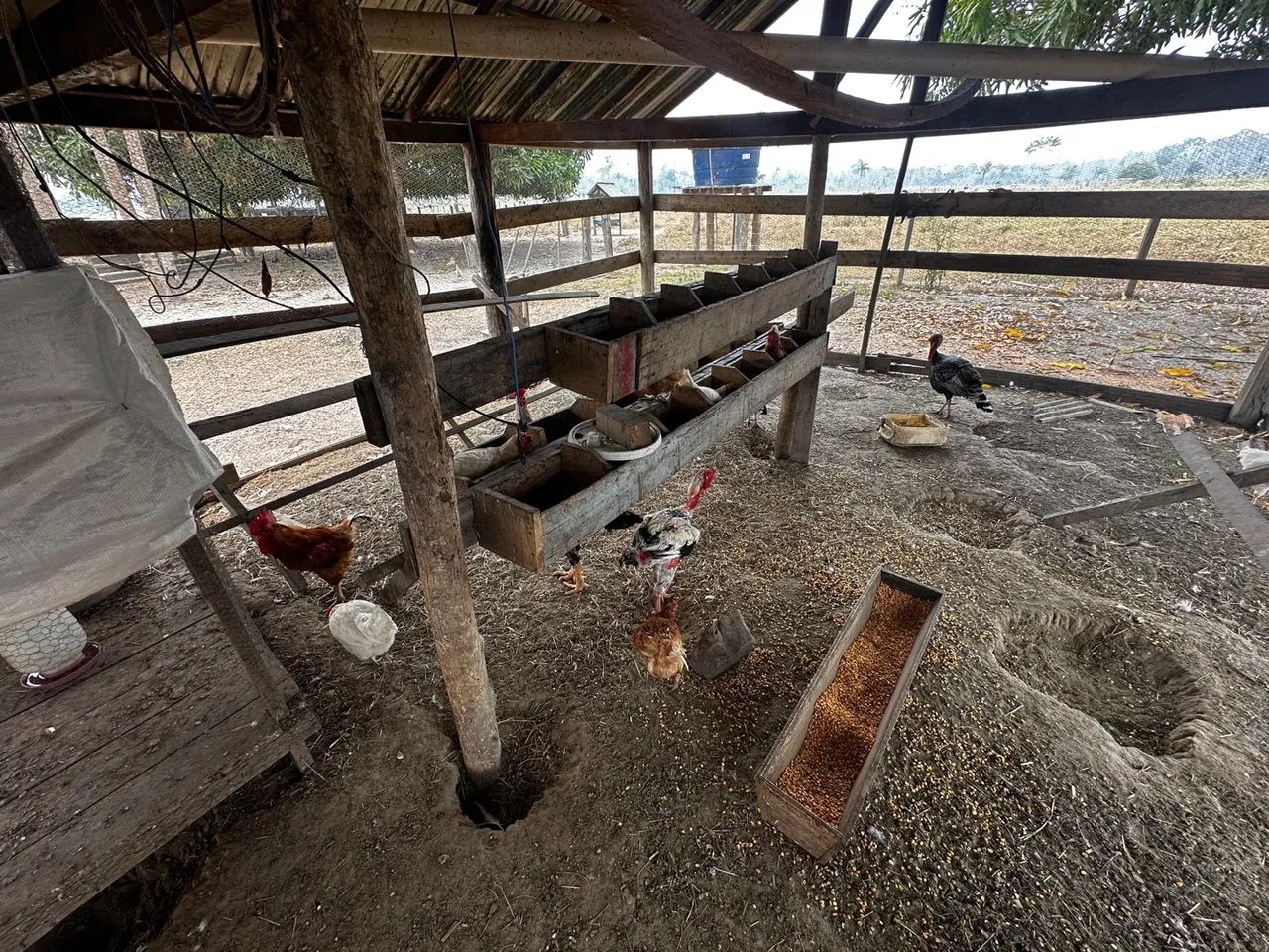  Vendo uma colônia de 15 hectares, no ramal da alcobras no km15  - Foto 15