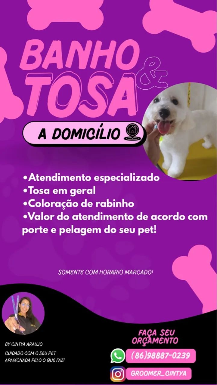 Banho e tosa A Domicilio 