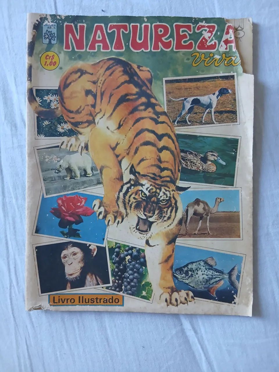 Álbum Natureza Viva