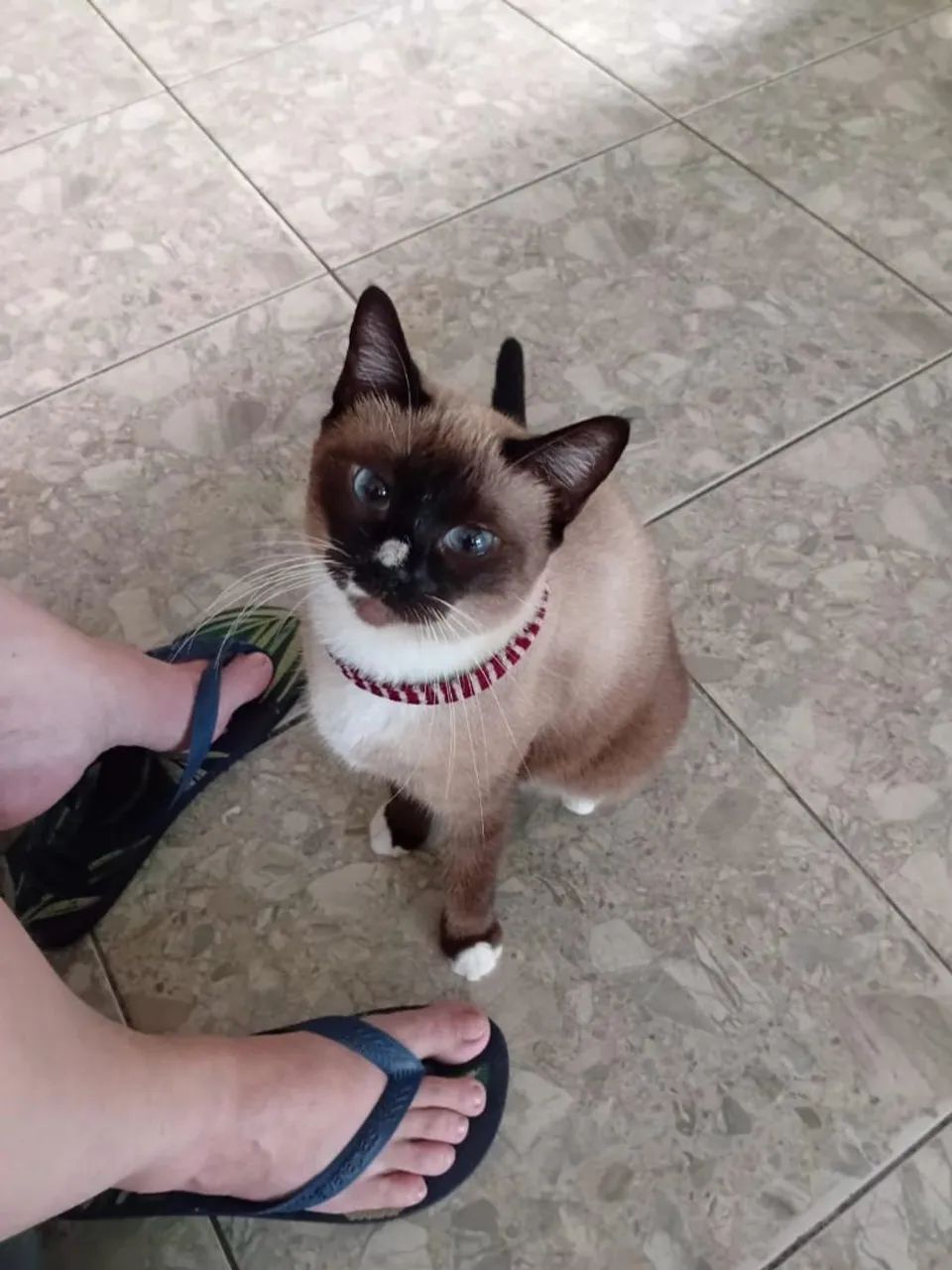 Estou doando,motivo viagem 