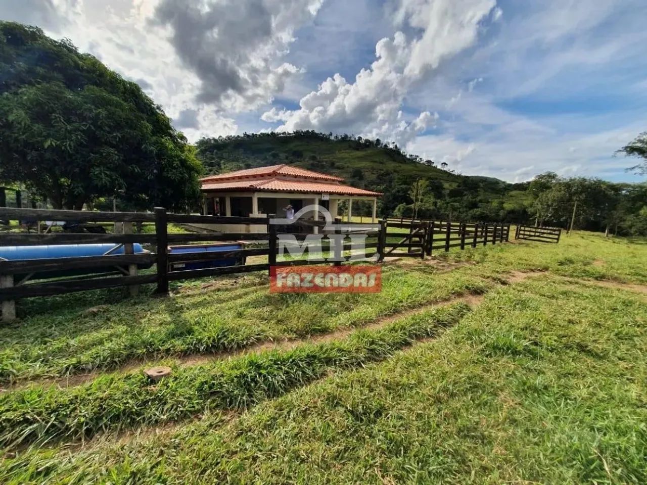 Fazenda 54 Alqueires (261,36 Hectares) Cocalzinho de Goiás - GO - Foto 3
