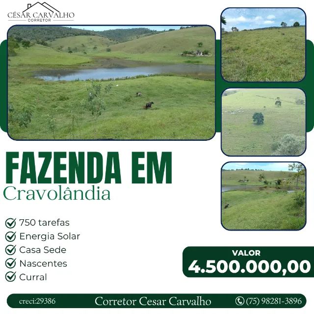FAZENDA EM CRAVOLÂNDIA - 750 TAREFAS