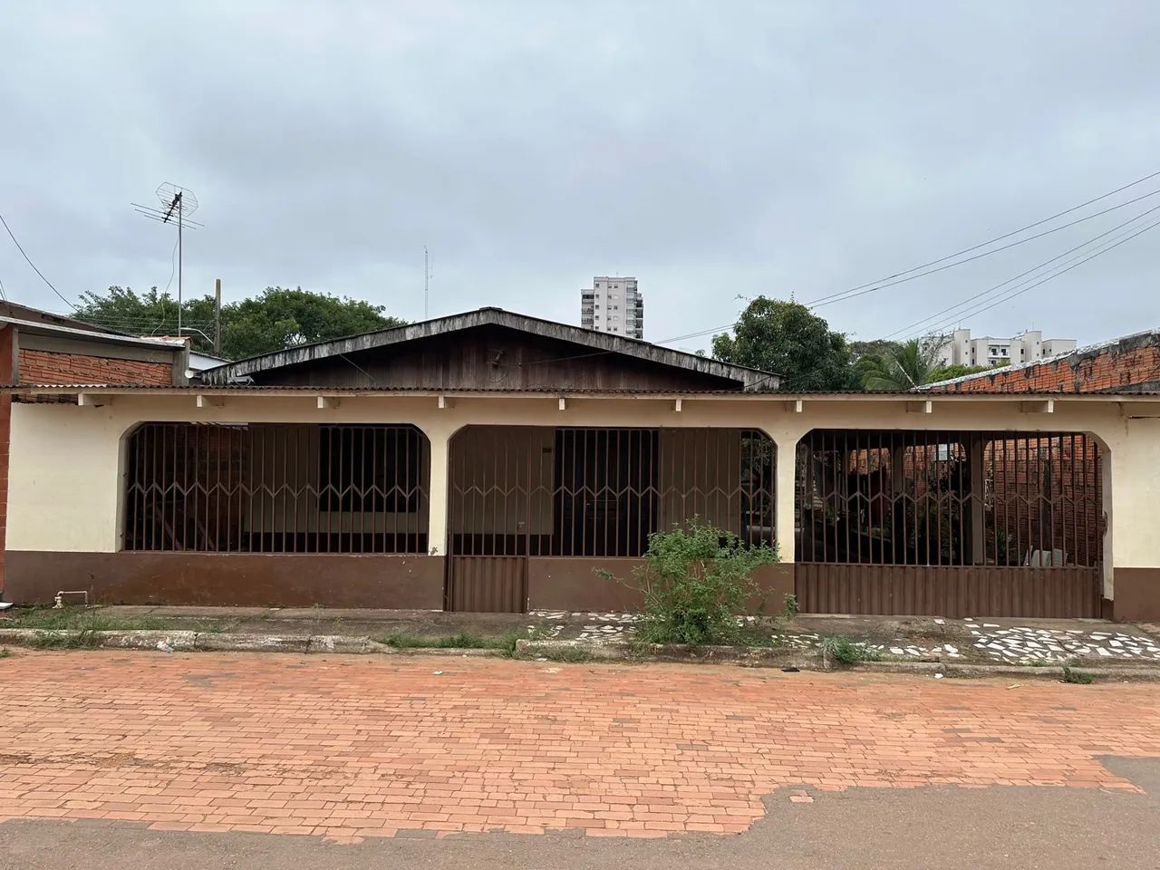 Foto - Rio Branco - Bosque