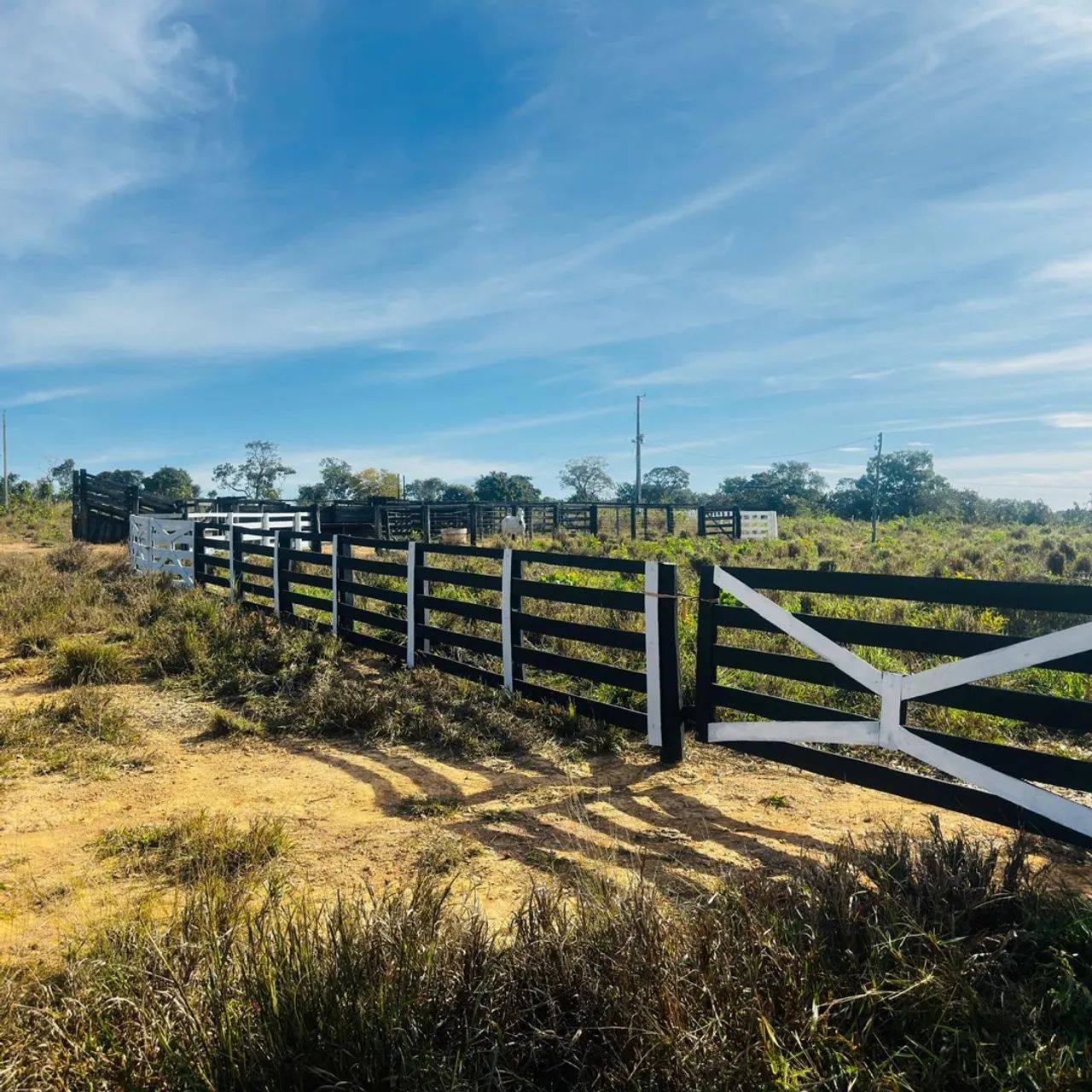 Fazenda à venda, Ótimo investimento  - Foto 4