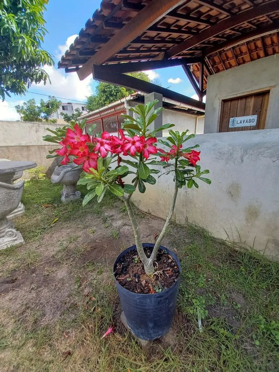 CASA Á VENDA