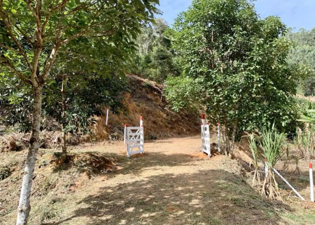 Oportunidade! Sítio Recanto da Cachoeira, um Paraíso. - Foto 2
