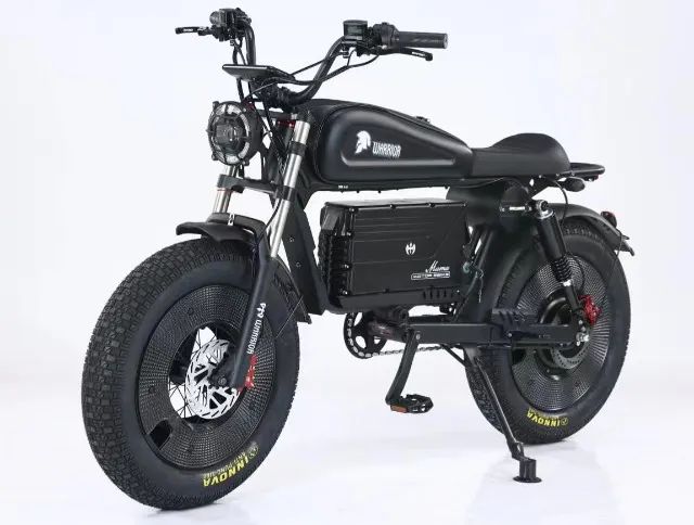 Bicicleta Elétrica Warrior 1500W 60Ah ou 30Ah