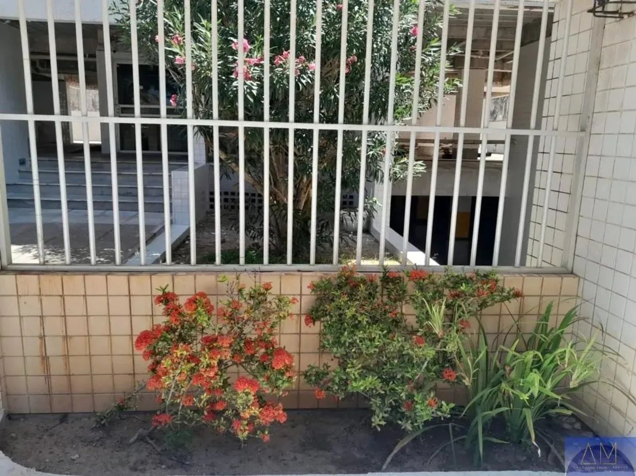 Apartamento à Venda em Rio Doce - Foto 2