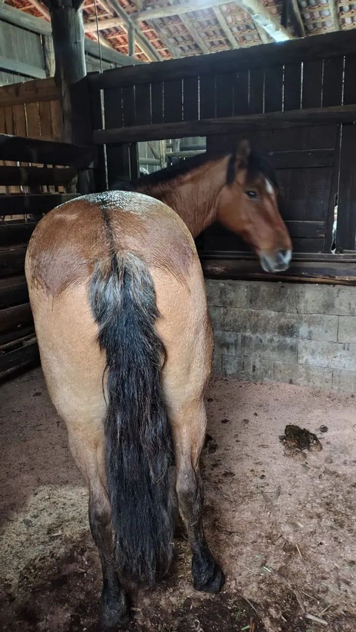 Vendo ou troco - Foto 2