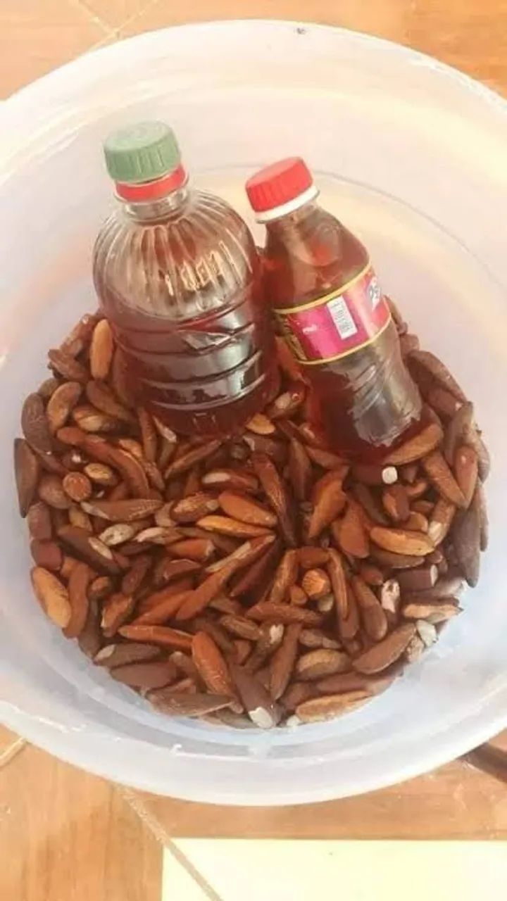 Azeite de côco babaçu original! - Foto 4