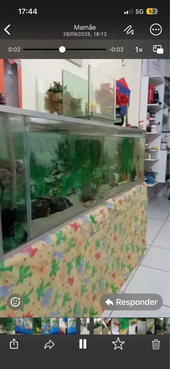 Aquário jumbo pra vender logo