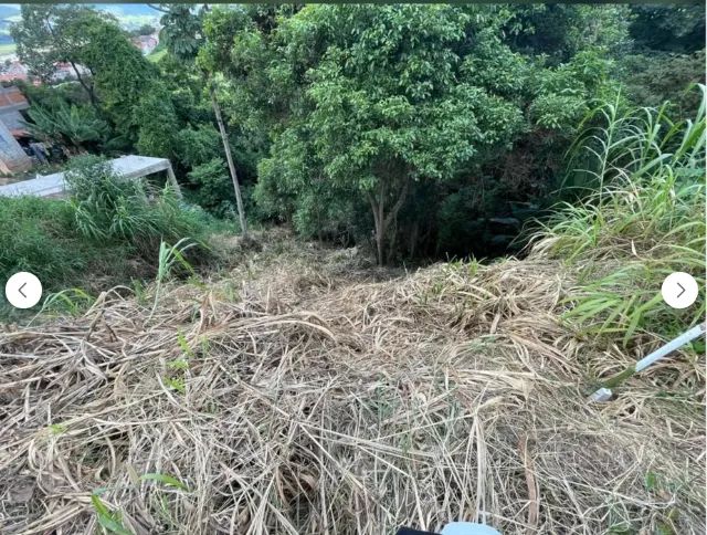 Terreno bom jesus perdões oportunidade - Foto 5
