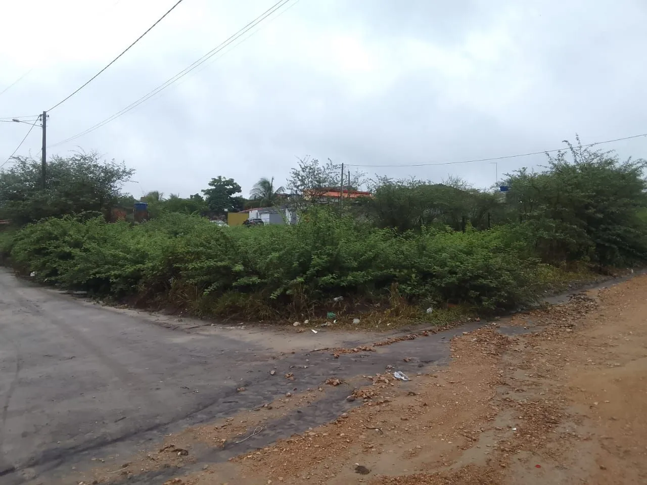 Lotes e terrenos em Irará Bahia