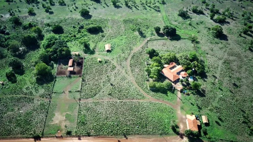 Fazenda de 1450 Hectares - José de Freitas PI - Foto 2