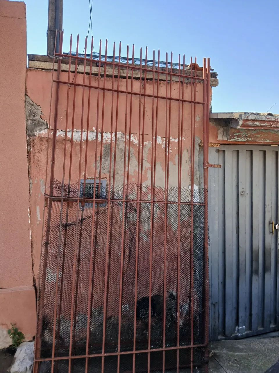 Portão de ferro reforçado64198290748161120