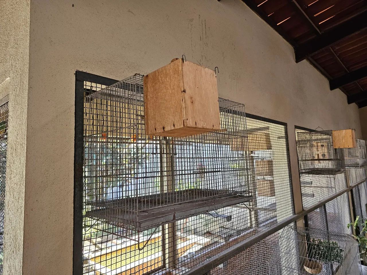 Gaiola64298892412546121