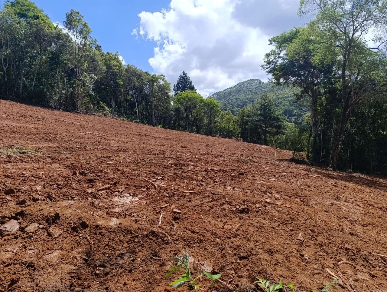 VENDO Lindo Terreno com 4000 m² - Bateias / Campo Largo - Foto 8