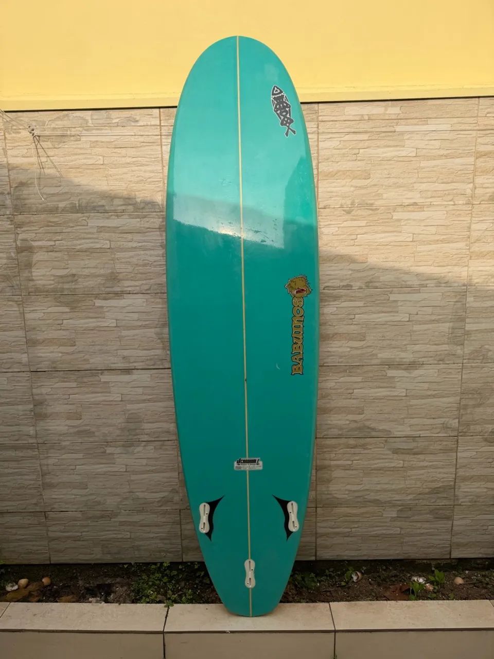 Prancha Funboard 