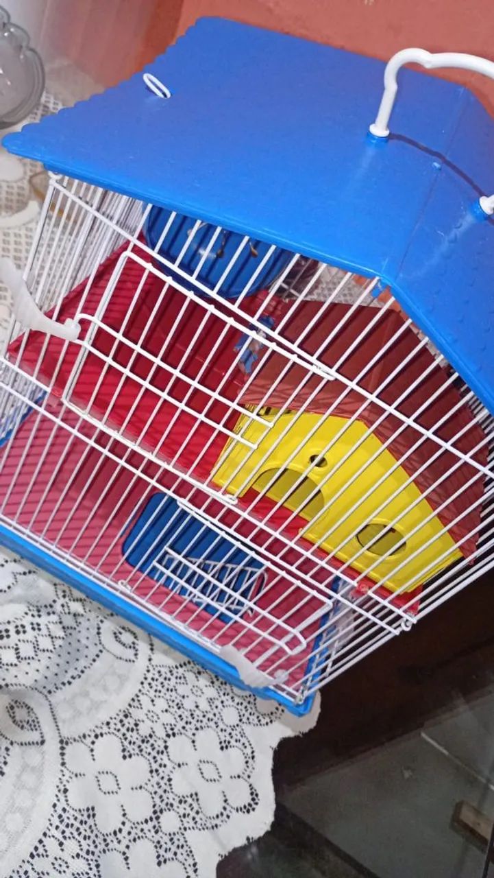 Casinha Pet ? - Foto 2