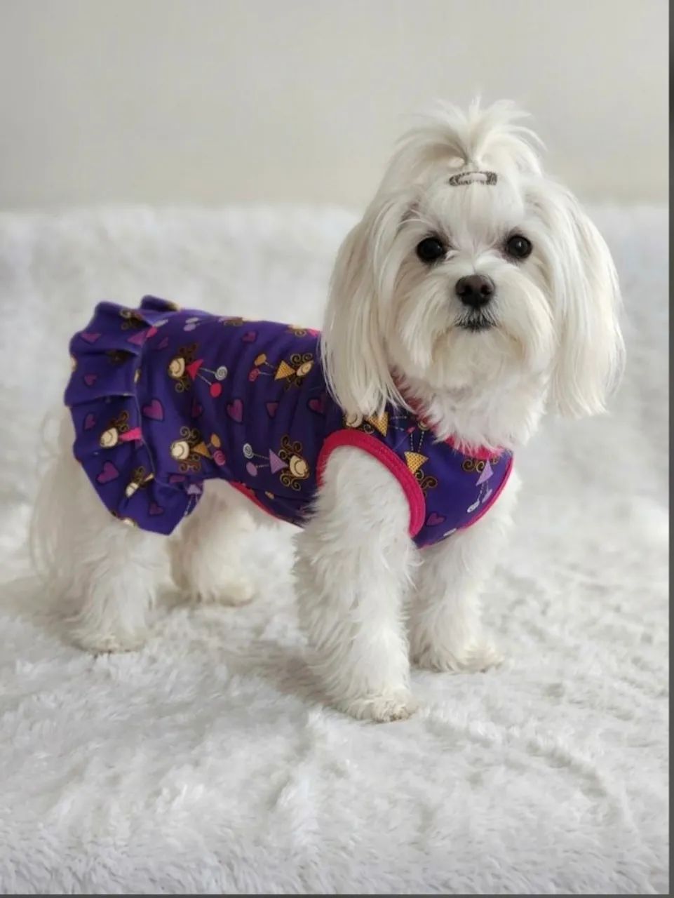 Roupas para Cães e gatos 