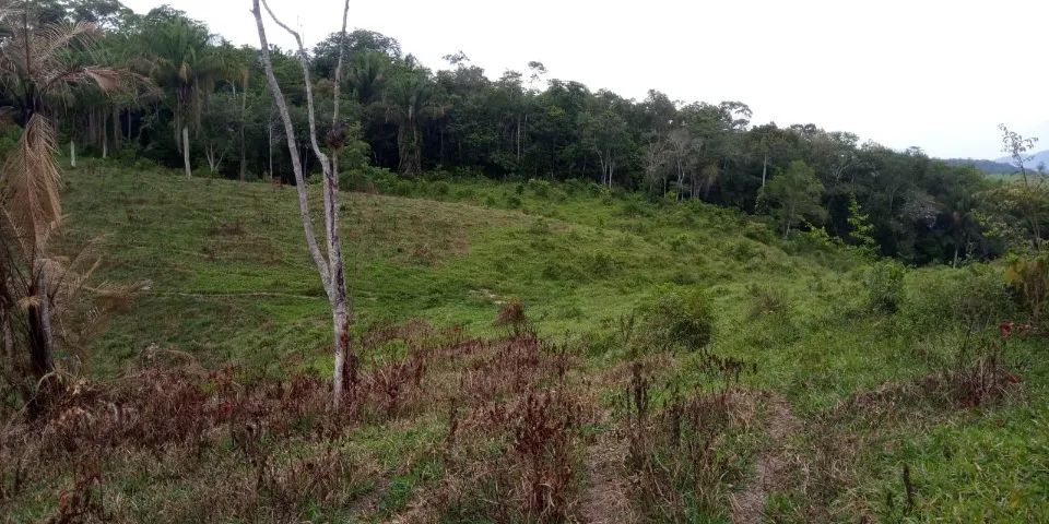 Sítio Jacupiranga/ Eldorado - Foto 3