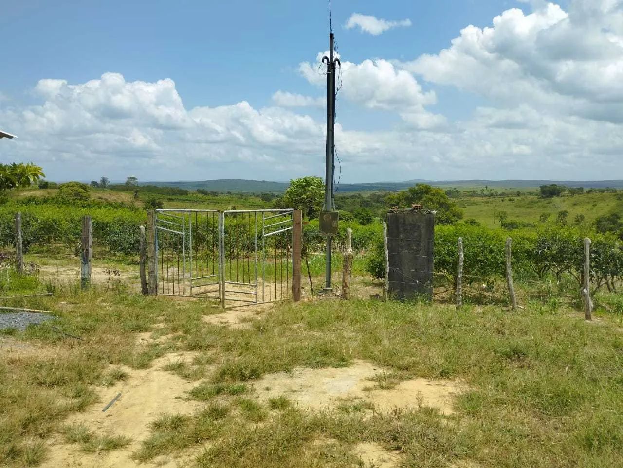 Sítio | Povoado Brasília  Lagarto/SE [7600] - Foto 3